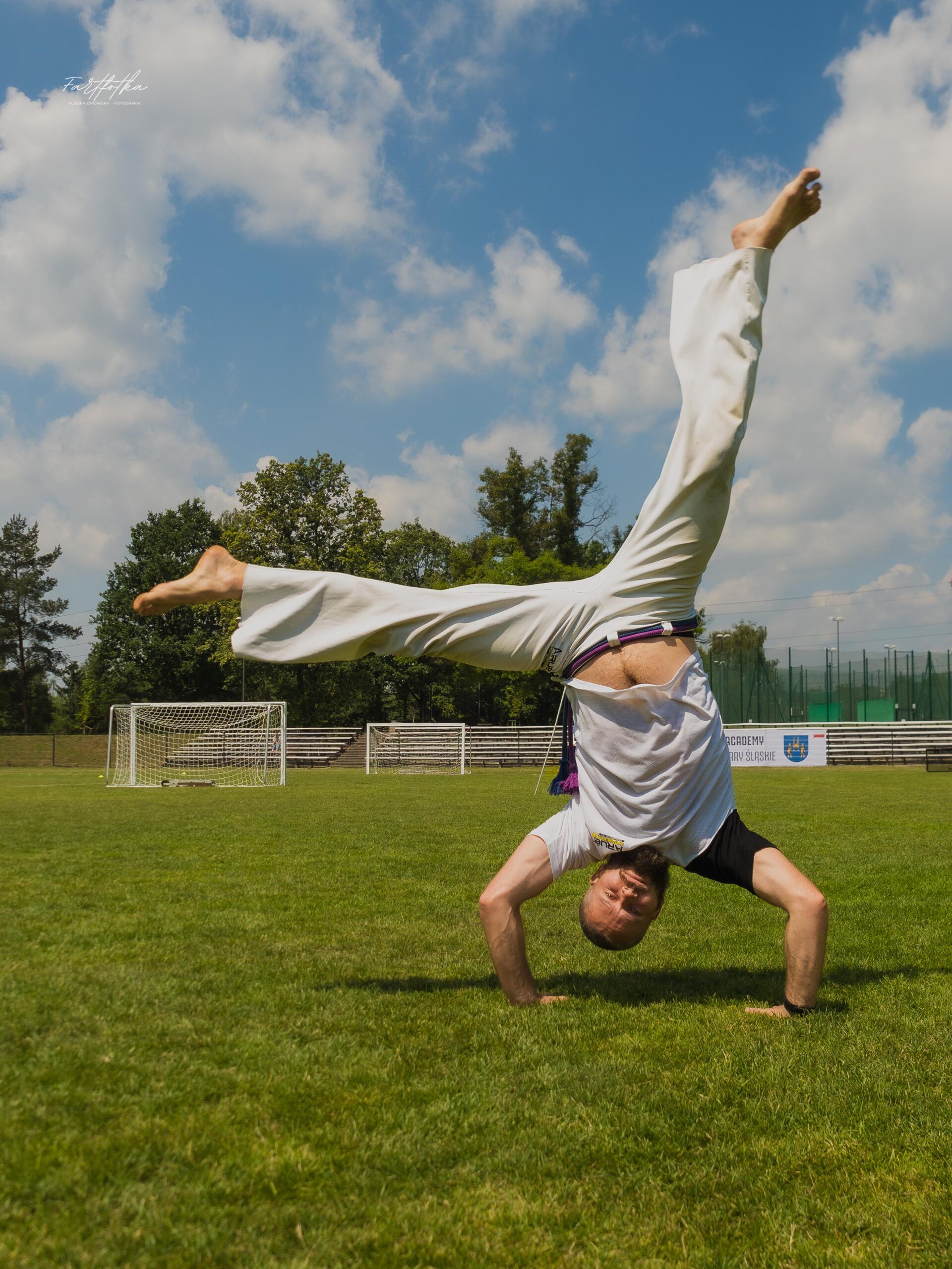 Capoeira w ruchu